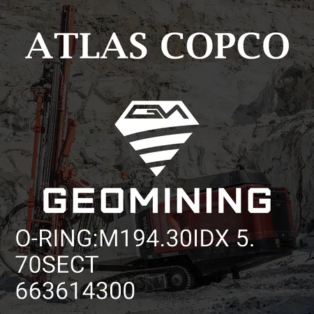 663614300 УПЛОТНИТЕЛЬНОЕ КОЛЬЦО:M194.30IDX 5.70SECT Atlas Copco / Epiroc